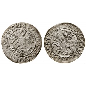 Polen, litauischer Halbpfennig, 1560, Vilnius