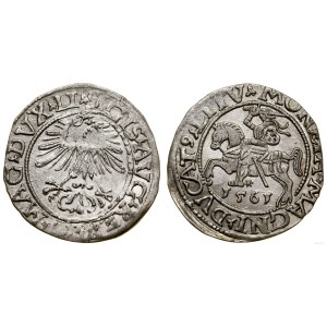 Polen, litauischer Halbpfennig, 1561, Vilnius