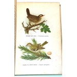 DYAKOWSKI - POTENTIAL BIRDS AND THEIR EYES 25 color plates