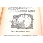 AMATEUR INDUSTRY 1890 edition paper and textiles, earth, wax, glass, porcelain, wood-metals, bookbinding, carpentry, watchmaking