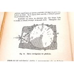 PRZEMYSŁ AMATORSKI wyd. 1890 papier i tkaniny, ziemia, wosk, szkło, porcelana, drzewo-metale, introligatorstwo, stolarstwo, zegarmistrzostwo