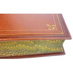 OSTROWSKI- BOOK OF HERBOWA RODÓW POLSKICH original leather