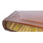 SWIFT - GULIVER'S TRAVELS leather