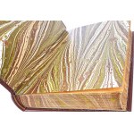 SWIFT - GULIVER'S TRAVELS leather