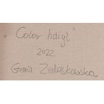 Gossia Zielaskowska (geb. 1983, Poznań), Farbe Hdiyl, 2022