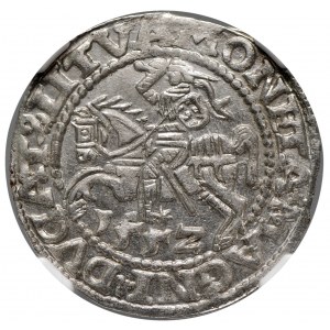 Zygmunt II August, Półgrosz 1552 Wilno - LI/LITVA