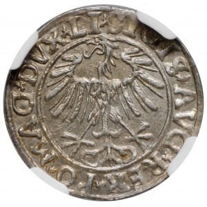 Zygmunt II August, Półgrosz 1557 Wilno - LI/LITVA