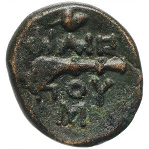 Grecja, Macedonia, Filip II AE10