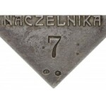 Polska pod zaborami, medal 100 rocznica śmierci Kościuszki, T. Błotnicki, 1917