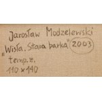 Jarosław Modzelewski (ur. 1955, Warszawa), Wisła. Stara barka, 2003