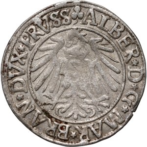 Knížecí Prusko, Albert Hohenzollern, penny 1541, Königsberg