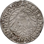 Herzogliches Preußen, Albert Hohenzollern, Pfennig 1541, Königsberg