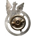 Poland, Polish Armed Forces in the West, Model Driver Badge
