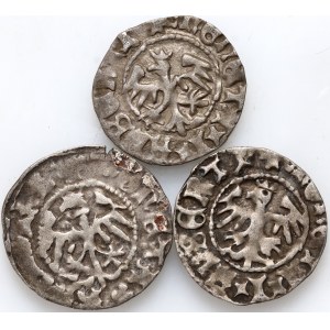 Casimir Jagiellon and Jan Olbracht, set of 3 x half-penny without date, Cracow
