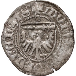 Kazimierz IV Jagiellończyk 1446-1492, szeląg, Toruń