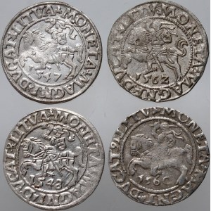 Sigismund II Augustus, set of 4 x half-penny, Vilnius