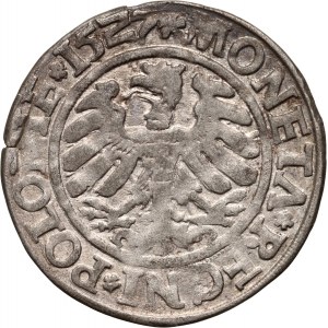Sigismund I. der Alte, Pfennig 1527, Krakau