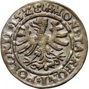 Sigismund I. der Alte, Pfennig 1528, Krakau