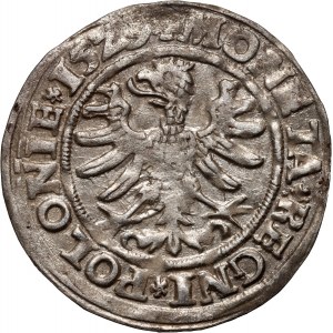 Sigismund I the Old, penny 1529, Cracow - SIGIMVND