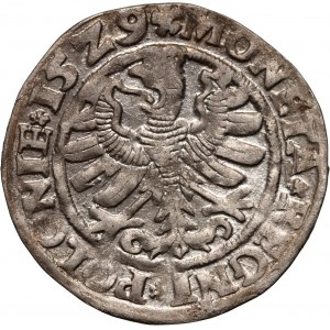 Sigismund I. der Alte, Pfennig 1529, Krakau