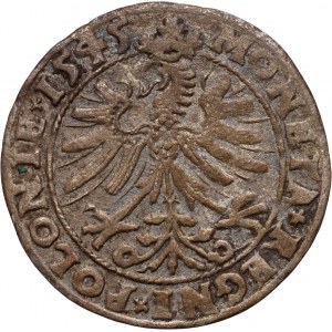 Sigismund I the Old, penny 1545, Cracow
