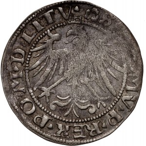 Sigismund I the Old, Lithuanian penny 1536, Vilnius