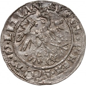 Zygmunt I Stary, grosz litewski 1536 I, Wilno, litera I pod Pogonią