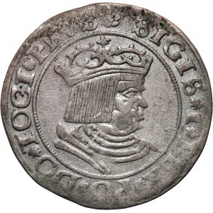 Zikmund I. Starý, penny 1530, Toruň