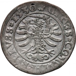 Žigmund I. Starý, penny 1530, Toruň