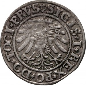 Zygmunt I Stary, grosz 1534, Elbląg