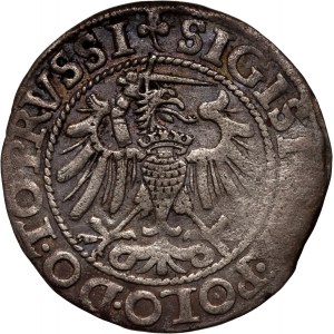 Sigismund I the Old, penny 1540, Elbląg