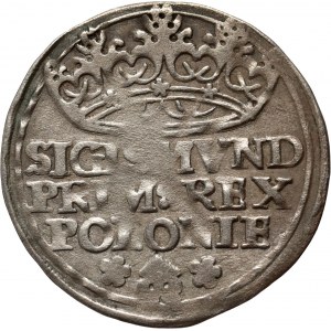 Sigismund I. der Alte, Pfennig 1529, Krakau