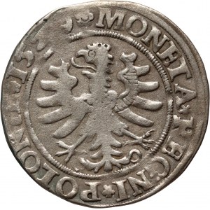 Sigismund I. der Alte, Pfennig 1529, Krakau