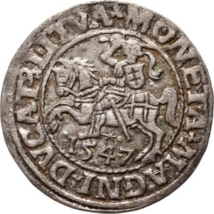 Sigismund II. Augustus, halber Pfennig 1547, Vilnius