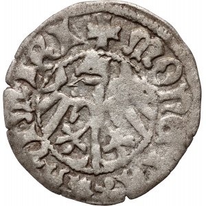 Kazimierz IV Jagiellończyk 1446-1492, halber Pfennig, Krakau