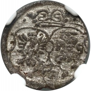 Zygmunt III Waza, trzeciak (ternar) 1619, Kraków