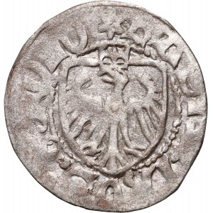 Casimir IV Jagiellonian 1446-1492, shilling, Gdansk