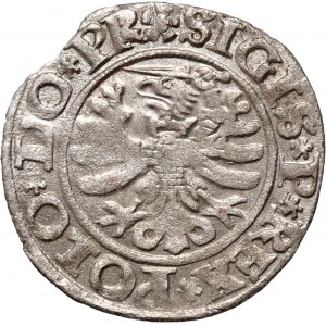 Zygmunt I Stary, szeląg 1530, Elbląg