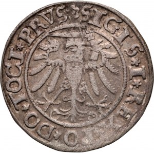 Sigismund I the Old, penny 1534, Elbląg