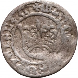 Alexander I. Jagiellone, halber Pfennig