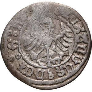 Alexander I. Jagiellone, halber Pfennig