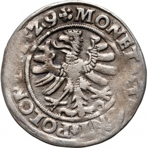 Sigismund I. der Alte, Pfennig 1529, Krakau