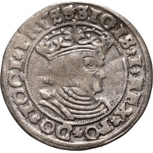 Sigismund I. der Alte, Pfennig 1529, Toruń