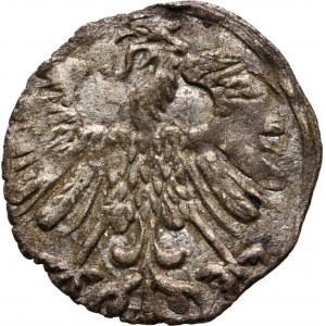 Zygmunt II August, denar 1558, Wilno