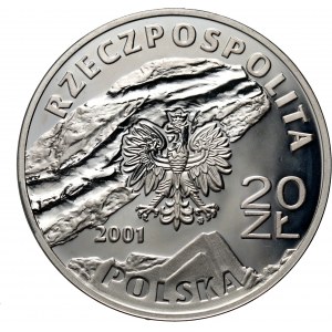 III RP, 20 złotych 2001, Kopalnia Soli w Wieliczce