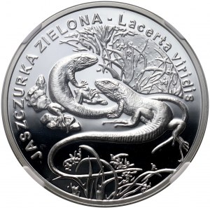 III RP, 20 złotych 2009, Jaszczurka zielona