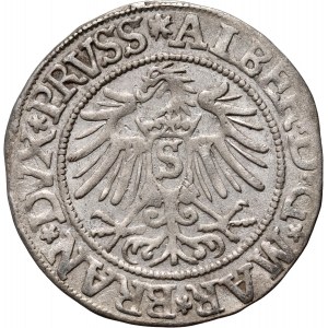 Prusy Książęce, Albert Hohenzollern, grosz 1537, Królewiec