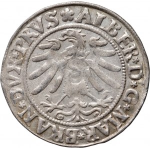 Prusy Książęce, Albert Hohenzollern, grosz 1533, Królewiec