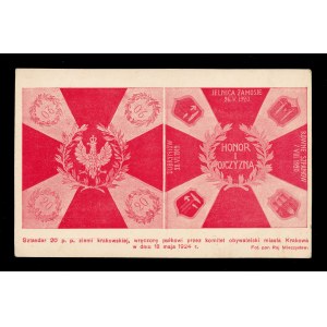 Prapor 20. pěšího pluku Krakovské země 1924 (658)