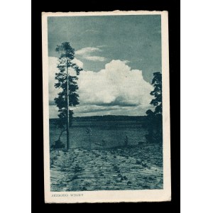 Suwałki Jezioro Wigry (719)